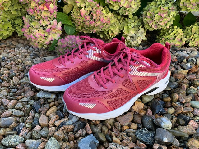 Scholl Sprinter Net - Bordeaux