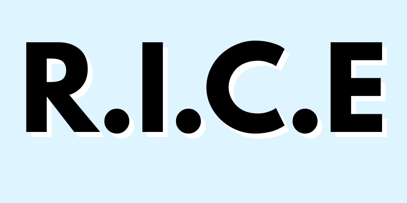 What is R.I.C.E. and how does it work?