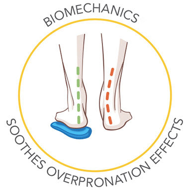 Scholl Biomechanics sulor