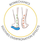 Scholl Biomechanics sulor